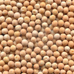 Семена озимого гороха (0)