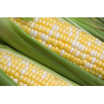 Насіння солодкої кукурудзи (20)