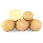 Семена раннего картофеля (2)