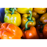 Насіння солодкого перцю (0)