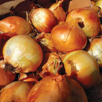 Семена озимого лука (0)