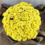 Хризантема Arluno Yellow 1л