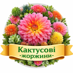 Кактусові жоржини (68)