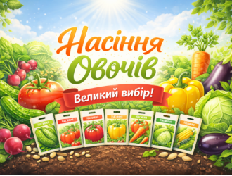 Каталог ➡️