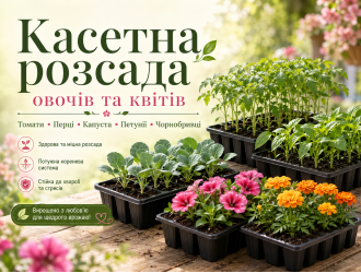 Каталог ➡️
