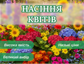 Каталог ➡️