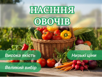 Каталог ➡️