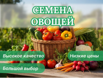 Каталог ➡️