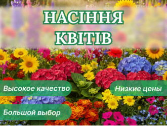 Каталог ➡️