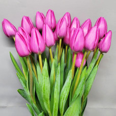 Тюльпан Pink Power