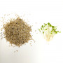Салат семена микрозелени 10 г