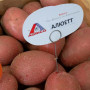 Насіннєва картопля Алюетт 2,5 кг (перша репродукція) Agrico