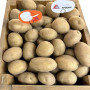 Насіннєва картопля Арізона 2,5 кг (перша репродукція) Agrico