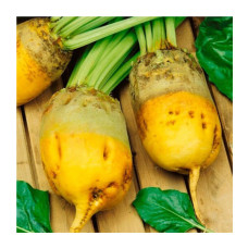 Свекла Екендорфская 50г Kouel