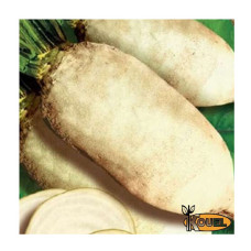 Свекла кормовая Центаур Полі 300г Kouel