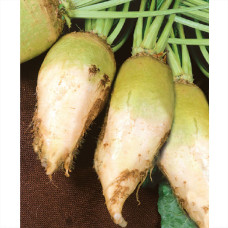 Свекла кормовая Центаур Полі 50г Kouel