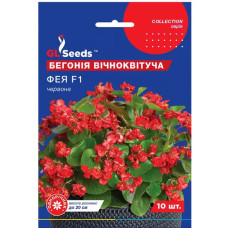 Бегония Фея красная 10 шт Gl Seeds
