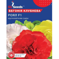 Бегония Роял F1 смесь 10 шт Gl Seeds