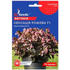 Бегония Сенсация розовая F1 10 шт Gl Seeds