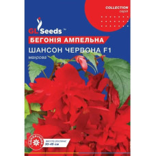 Бегония Шансон красная F1 10 шт Gl Seeds