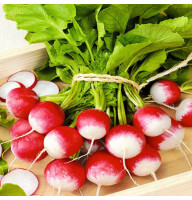 Редис Красный с белым кончиком 20 г Фасованное
