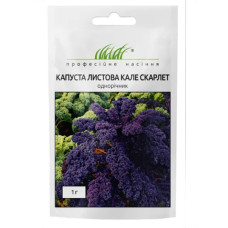 Капуста листовая Кале (красная) Скарлет 1 г Проф.насіння