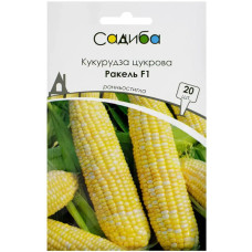 Кукурудза Ракель F1 5г Beste Kern