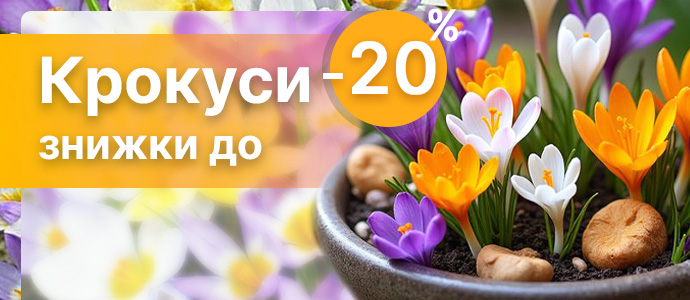 Перейти в каталог >>