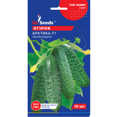 Огірок Арктика F1 10 шт GL Seeds