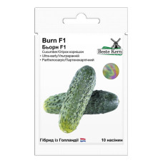 Огірок Бьорн F1 10 шт Beste Kern
