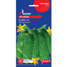 Огірок Буян F1 10 шт GL Seeds