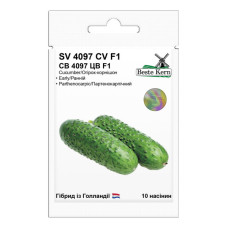 Огурец СВ 4097 ЦВ F1 10 шт Beste Kern