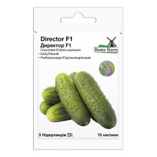 Огірок Директор F1 10 шт Beste Kern