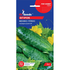 Огірок Фенікс плюс 1 г GL Seeds