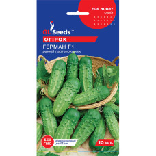 Огірок Герман 10 шт GL Seeds