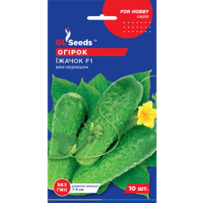 Огірок Їжачок F1 10 шт GL Seeds