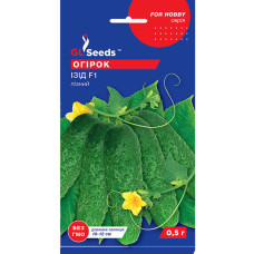 Огірок Ізид F1 0,5 г GL Seeds
