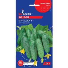 Огірок Мураха F1 0,5 г GL Seeds