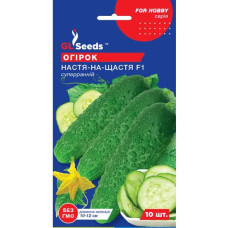 Огірок Настя-на-щастя F1 10 шт GL Seeds