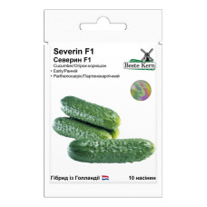 Огурец Северин  F1 10 шт Beste Kern