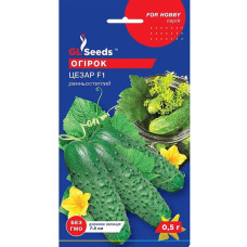 Огірок Цезар F1 0,5 г GL Seeds
