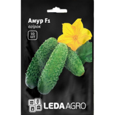 Огірок Амур F1 10 шт LedaArgo