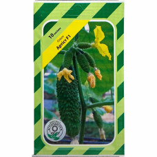 Огірок Артист F1 10 шт АГРОПАК