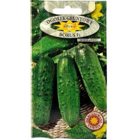 Огірок Борус F1 5 г ТМ ROLTICO Польща