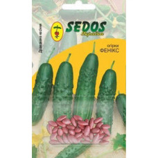 Огірок Фенікс 30 насінин Sedos