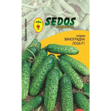 Огірок Виноградна лоза F1 30 насінин Sedos