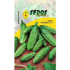 Огірок Примус F1 30 насінин Sedos