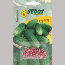Огірок Руфус F1 30 насінин Sedos