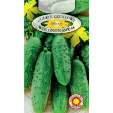 Огурец Висконсин (Wisconsin SMR 58) 5 г ТМ ROLTICO Польща