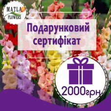 2000 грн - подарунковий сертифікат